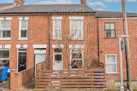 2 bedroom terraced house for sale, Caernarvon Road, Norwich NR2