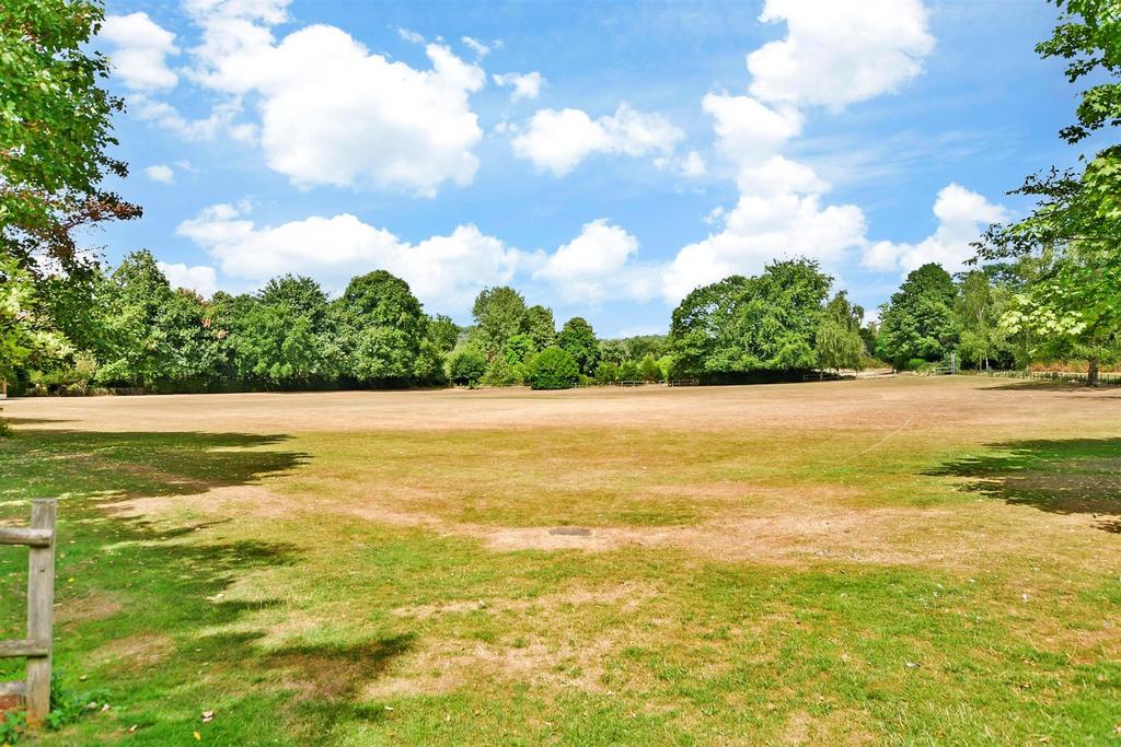 Surrounding Area