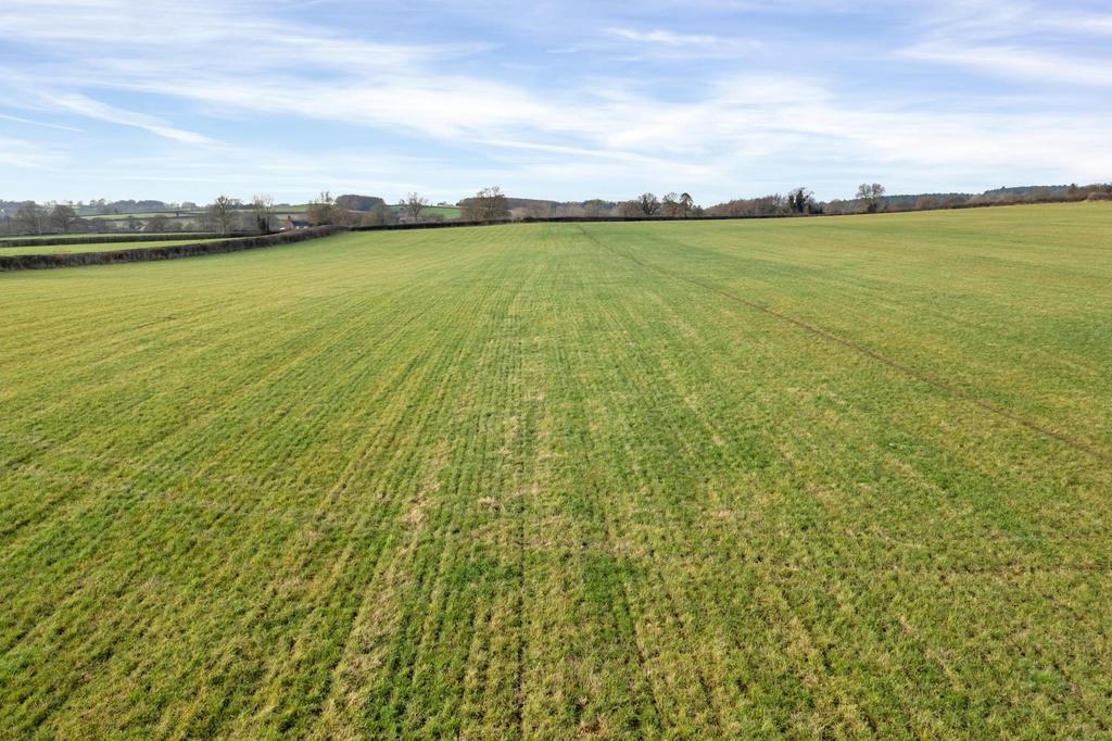 Lot 1