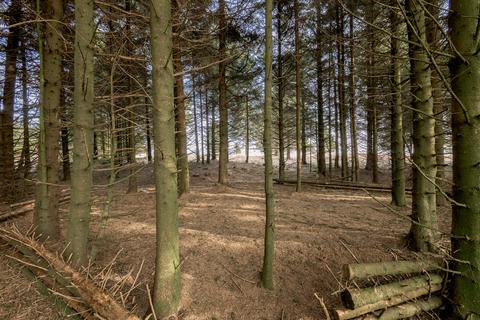 Woodland for sale, Chapel Hill, Rossendale BB4