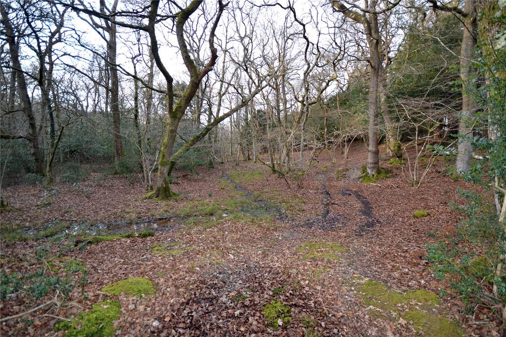 Cloisters Wood