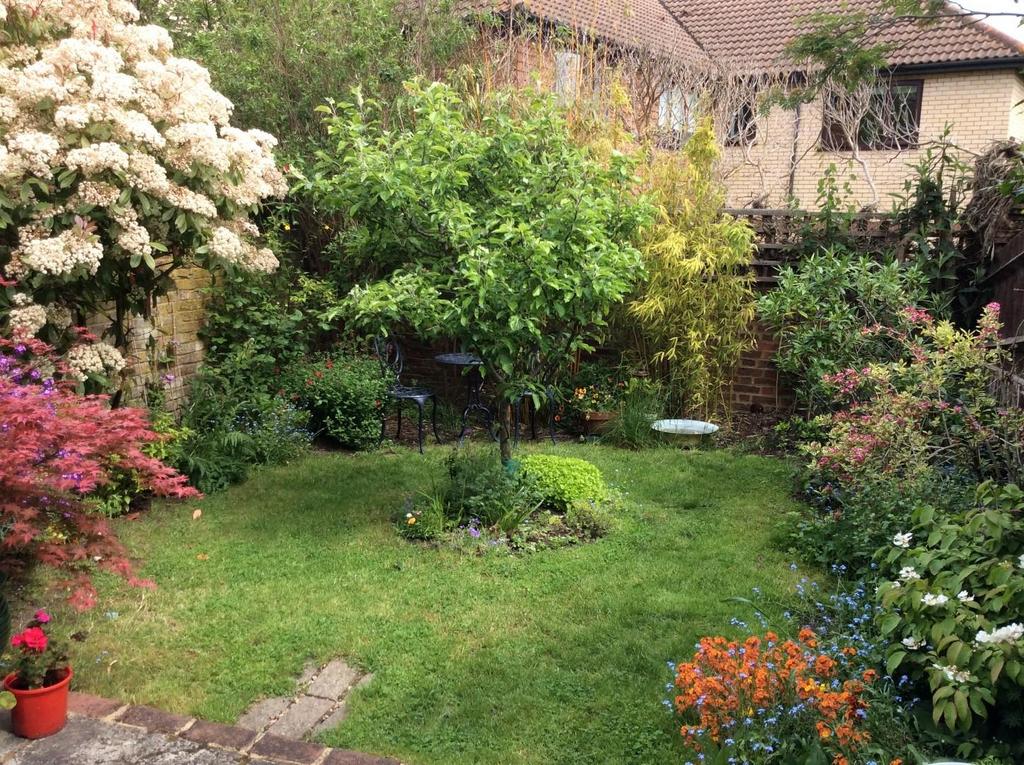 Garden photo.jpg