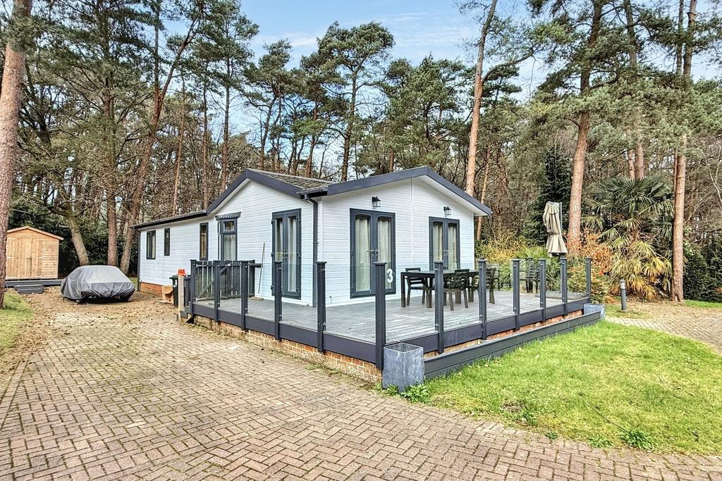 (Main)