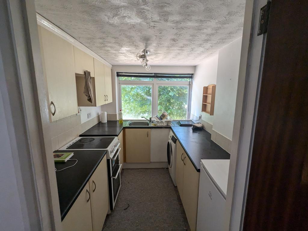 5 T202503051724.jpg