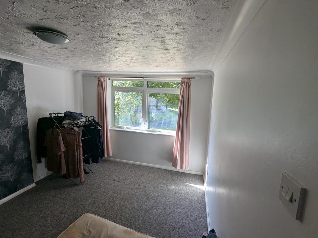 6 T202503051724.jpg