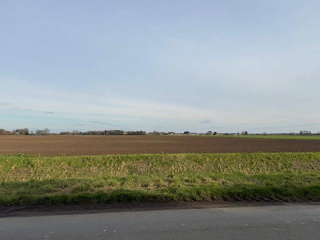11 T202502241356.jpg