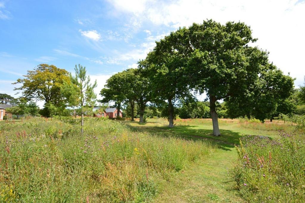 Communal Gardens