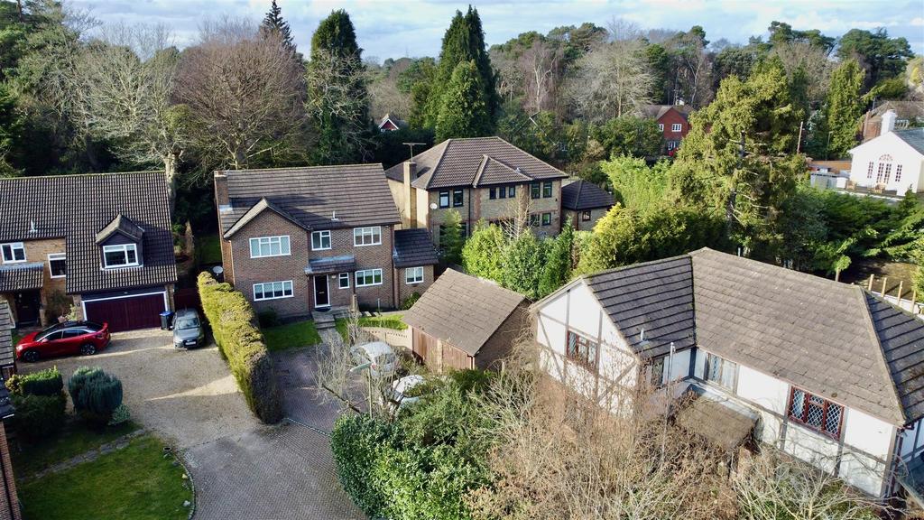 Dji fly 20250225 150836 270 1740496488911 photo op