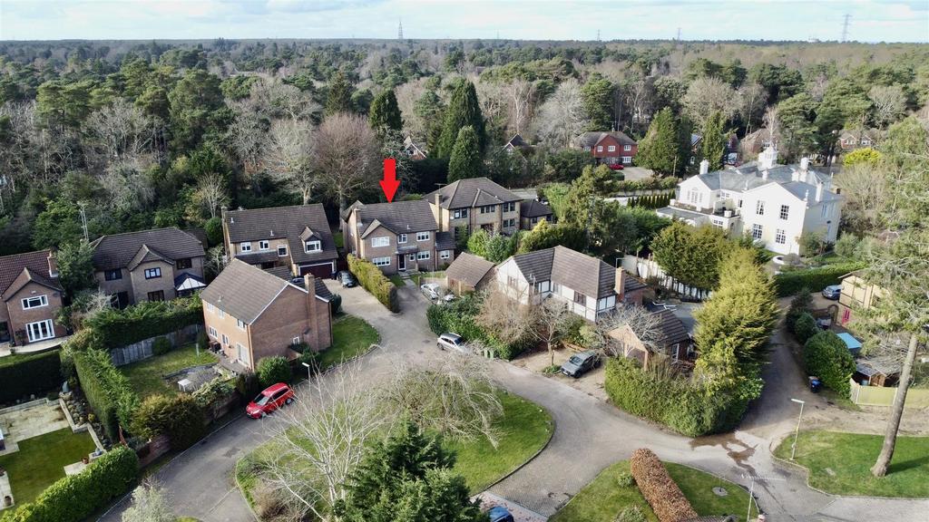 Dji fly 20250225 150918 272 1740496497114 photo op