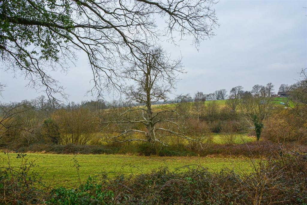 View to front