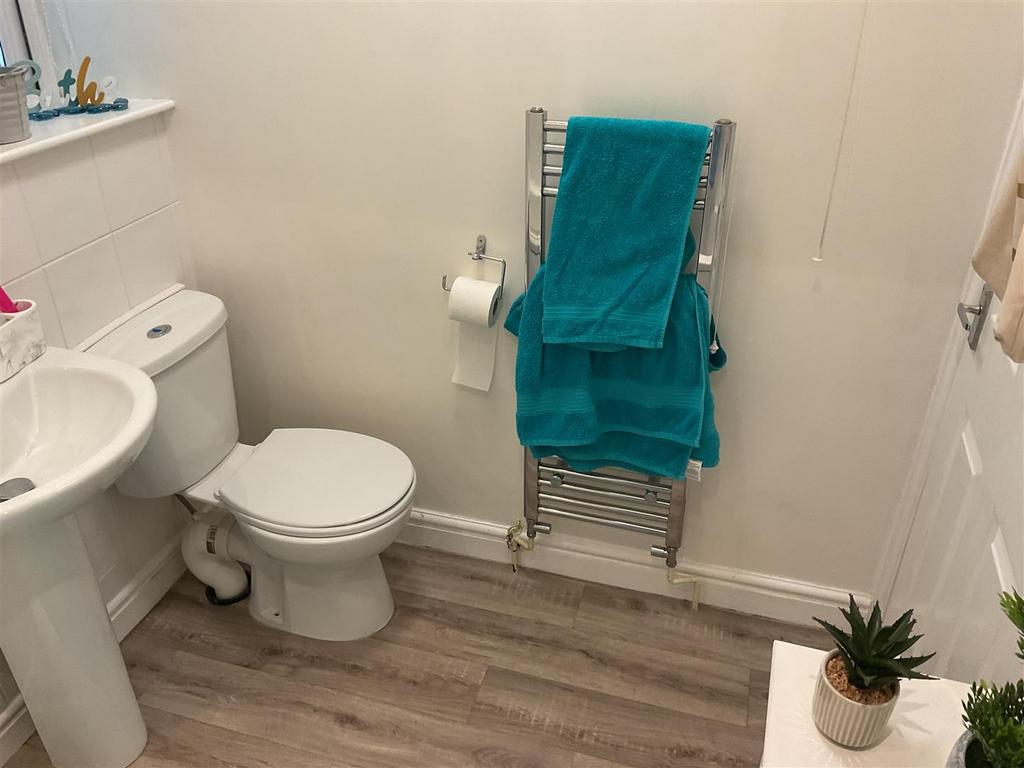 IMG 1514.jpeg