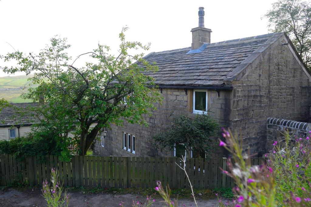 External