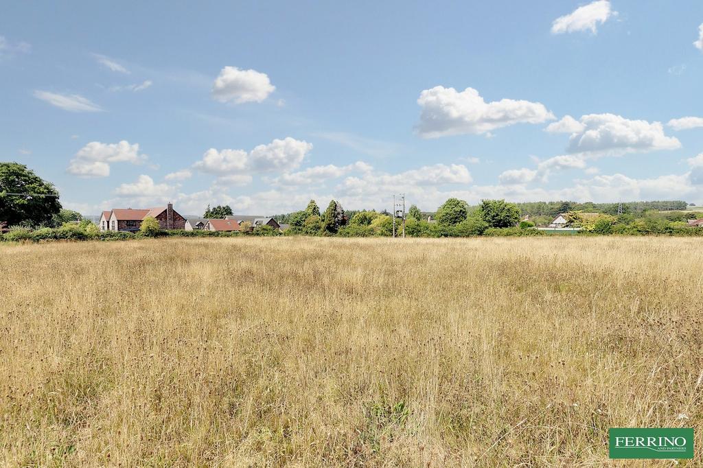 Land