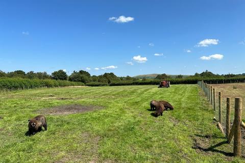 2 bedroom detached house for sale, Llanddeusant, Llangadog, SA19