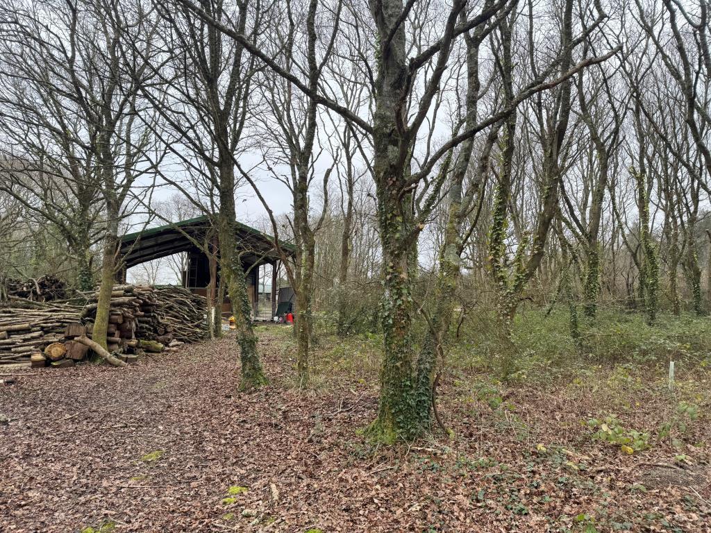 A View from the Woodland Looking back Towards the