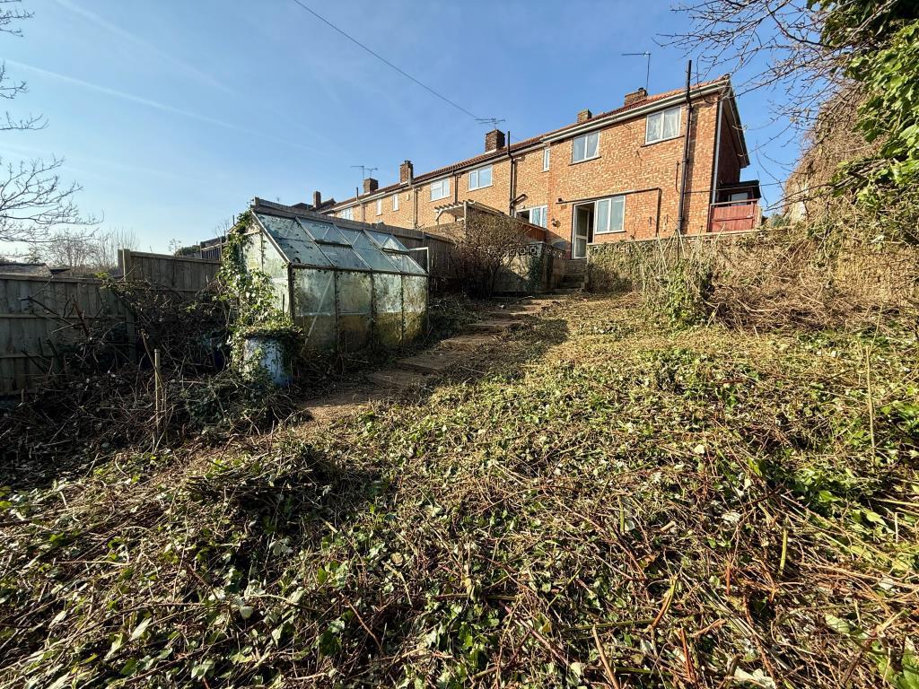 Garden with greenhouse