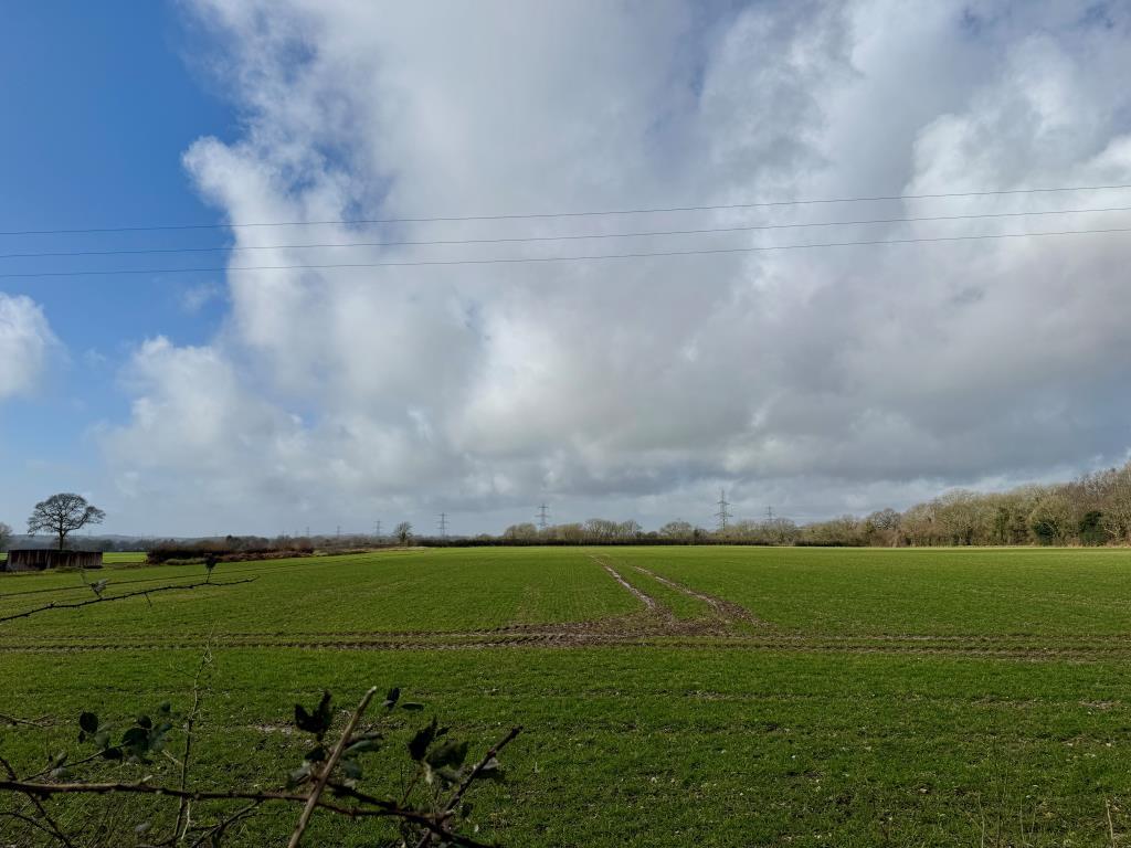 View from garden to field behind cottage