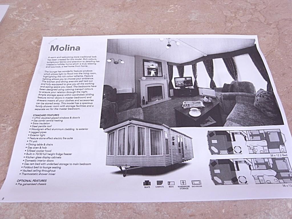 Molina Brochure