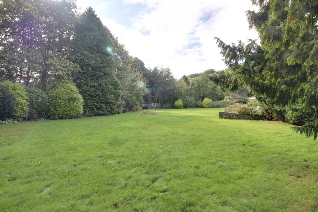 Rear Garden (2)