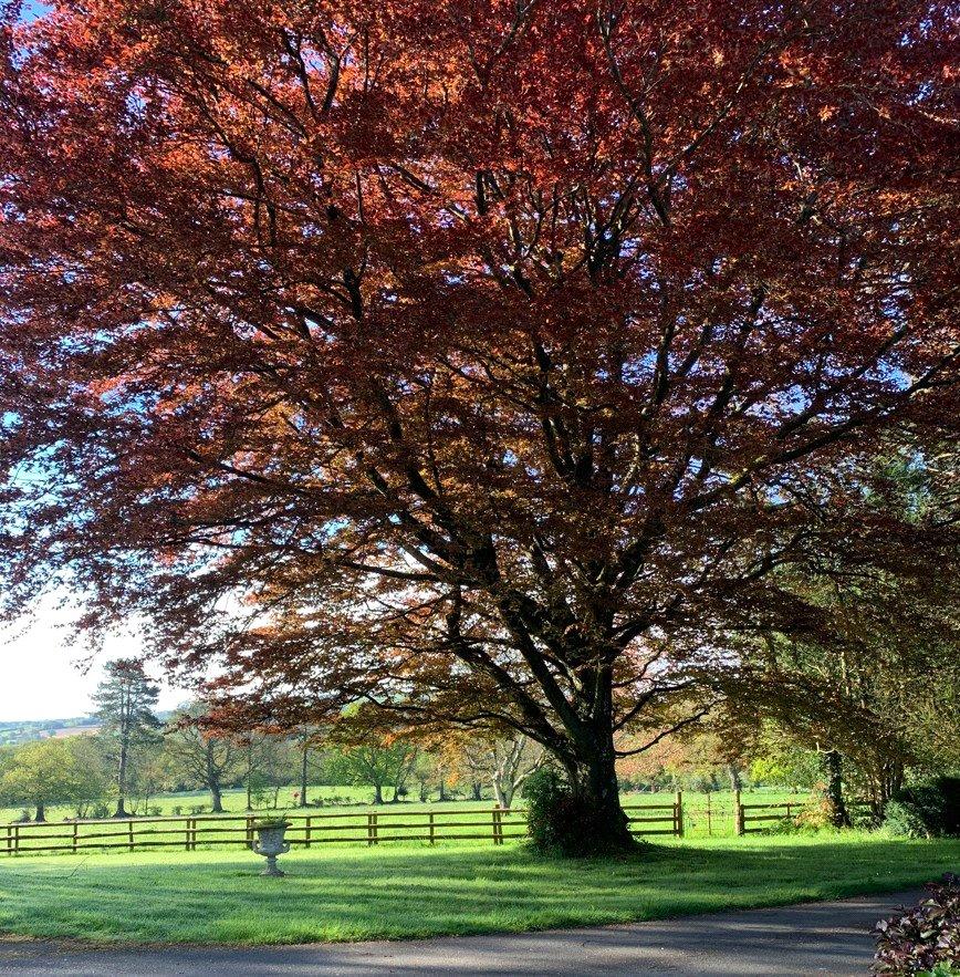 Gardens and Grounds