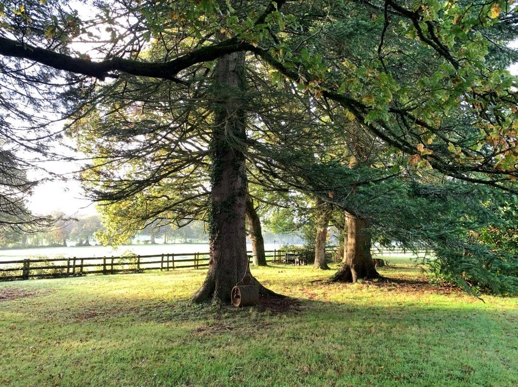 Gardens and Grounds