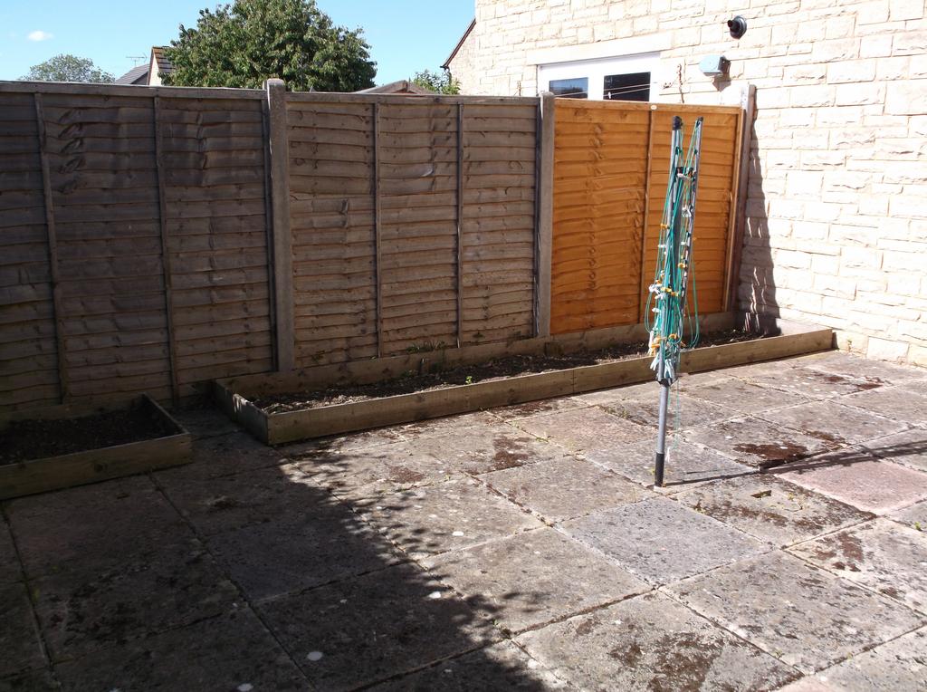 Back garden