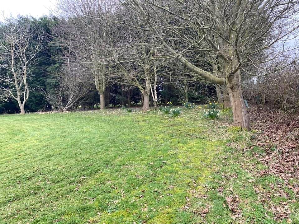 Gardens