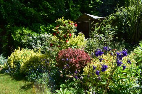 3 bedroom detached bungalow for sale, Little Green, Bury St. Edmunds, Suffolk