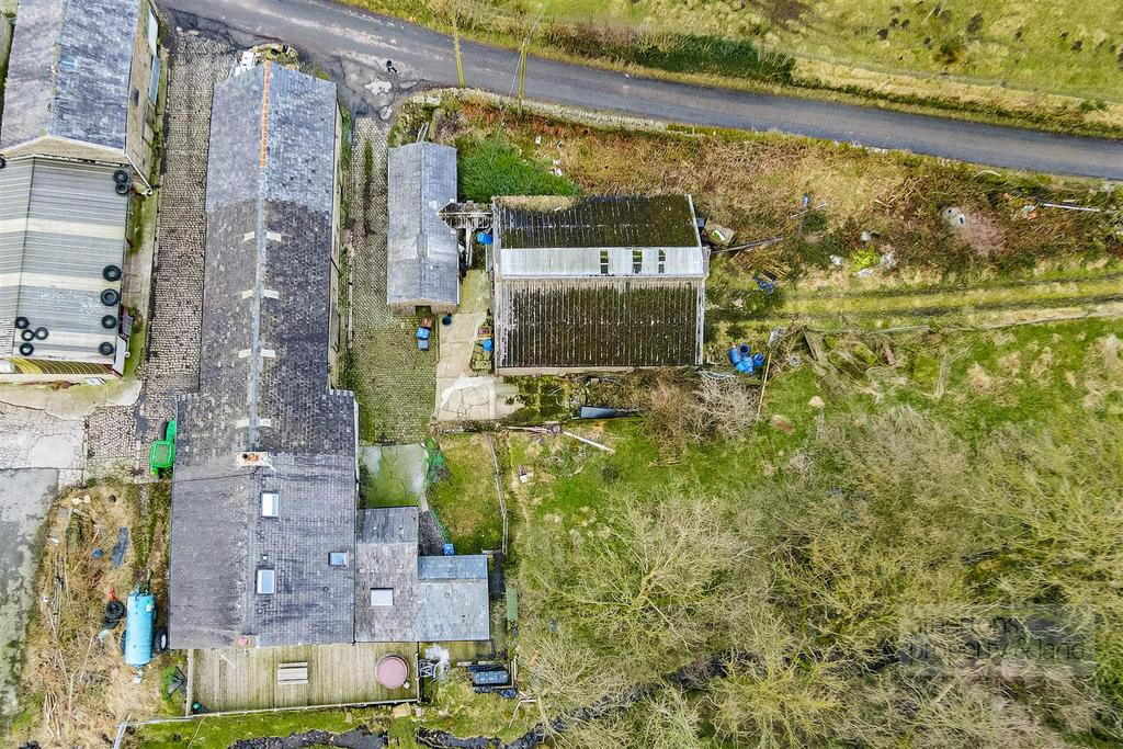 DJI 0667.jpg