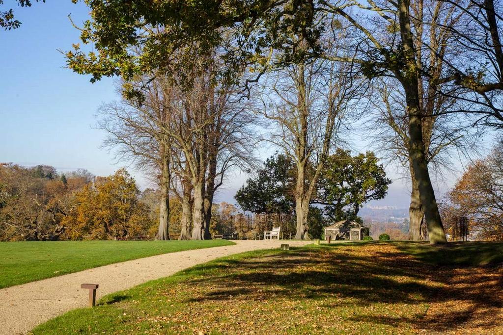 Grounds