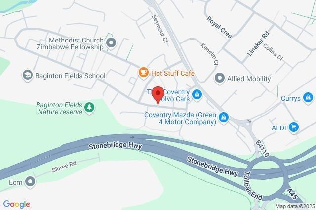 Google Maps Image