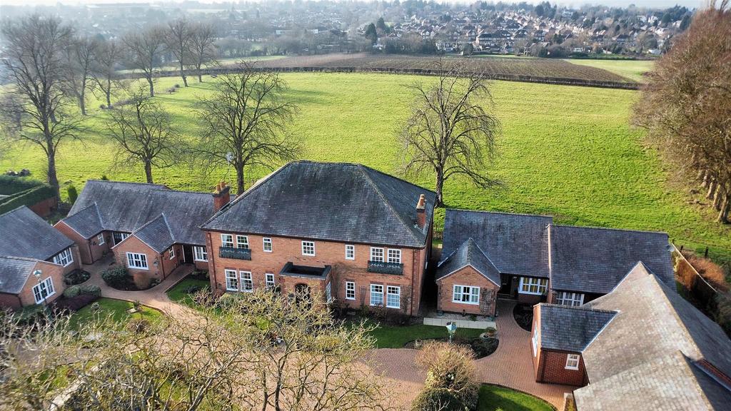 Dji fly 20250218 144248 428 1739889777863 photo op