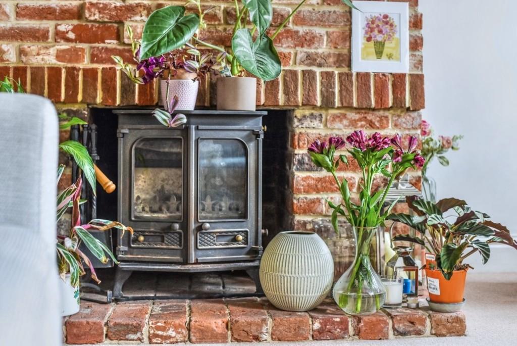 IMG 871 13 large Soft 3