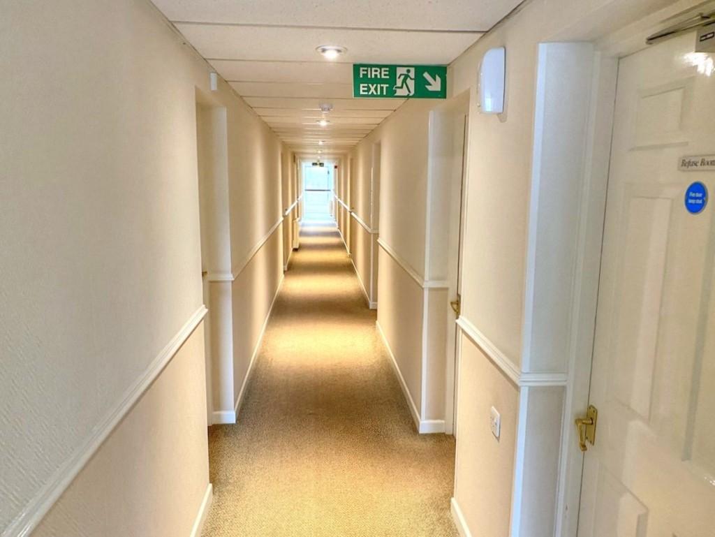 IMG 1223 6 large Smooth 3