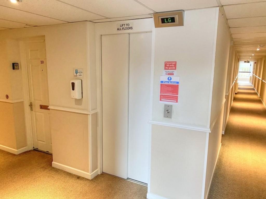 IMG 1223 8 large Smooth 3