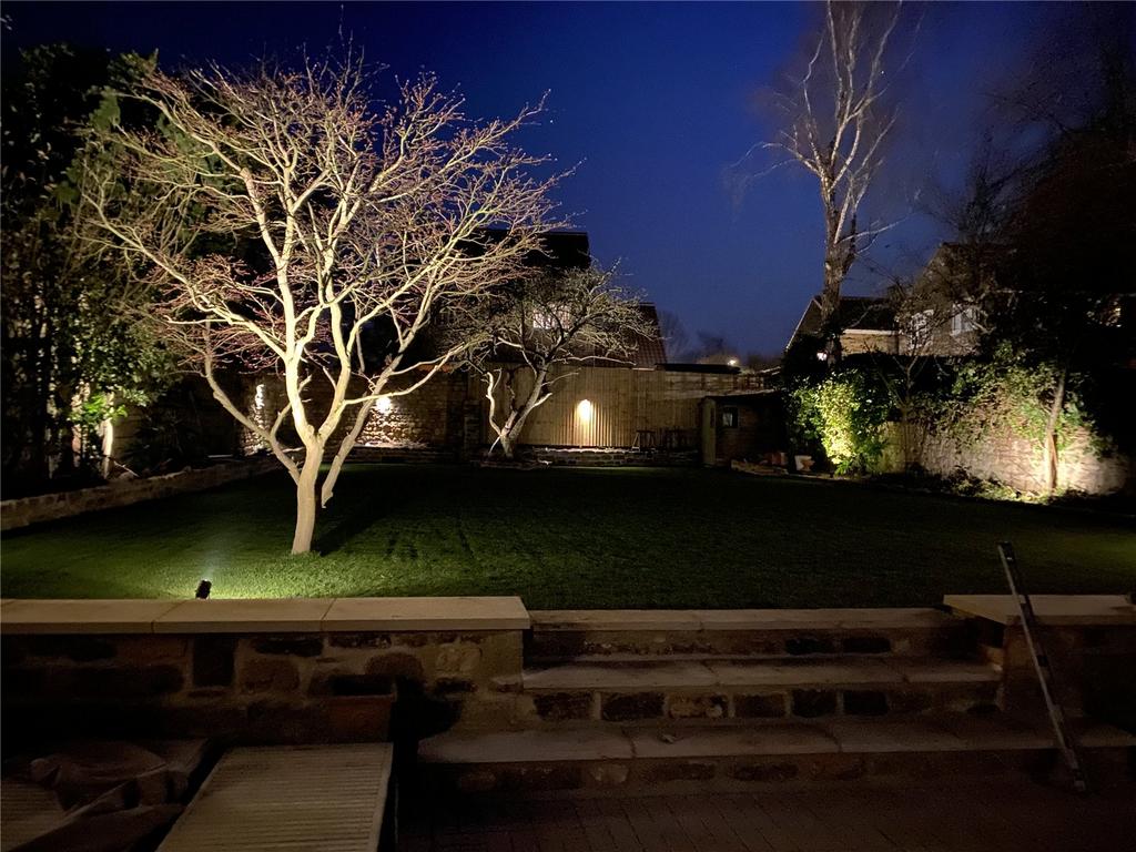 Night Shot