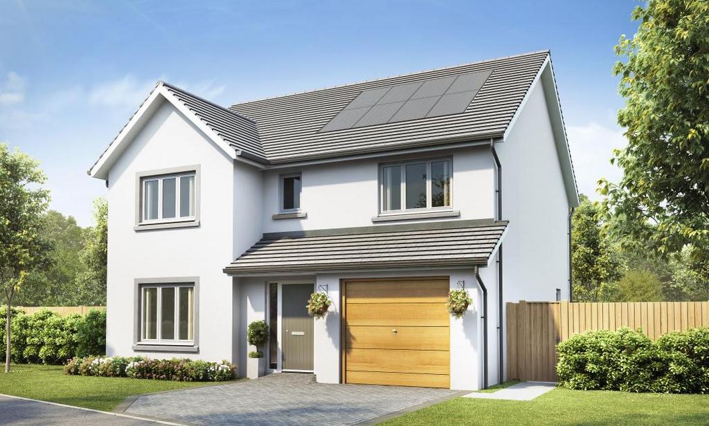 Dandara - Hazelwood - The Beech, Home 38