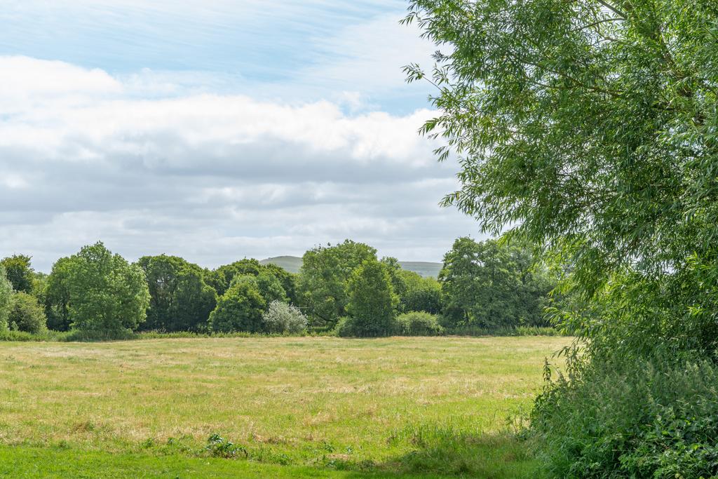 Paddocks