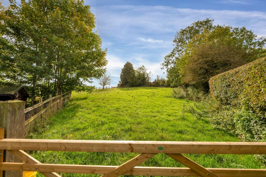 Paddock Land