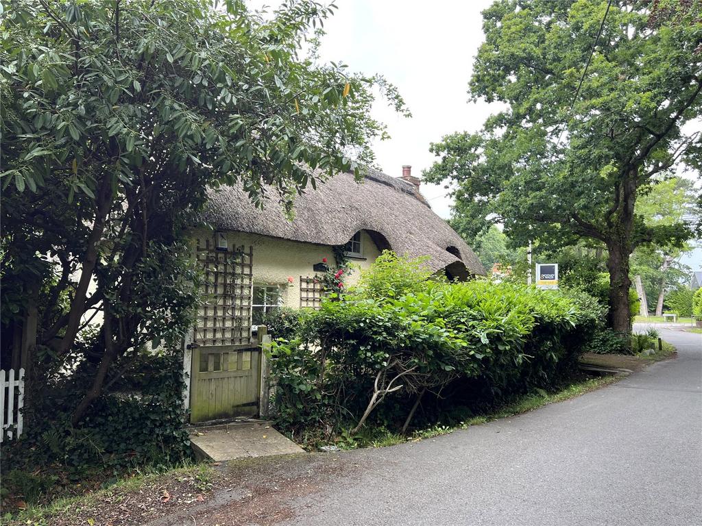 The Property