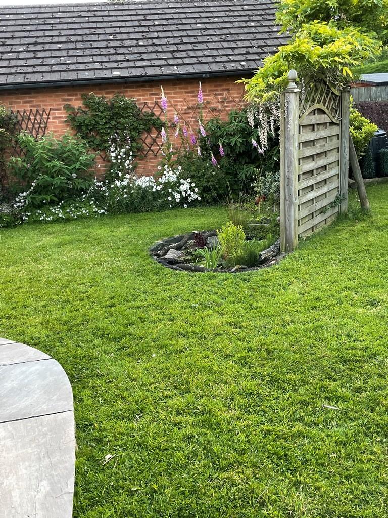 Garden Pond