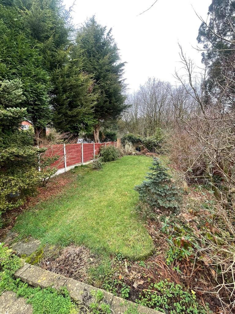 Whats App Image 2025-02-28 at 11.15.50 AM