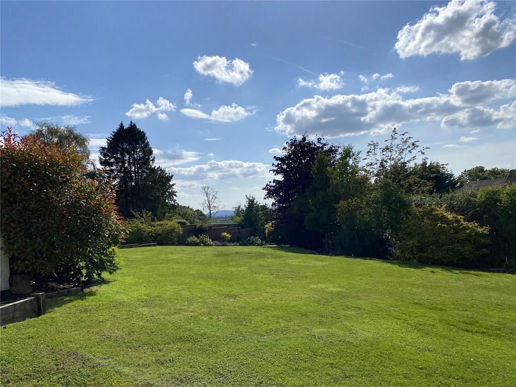Picture 19