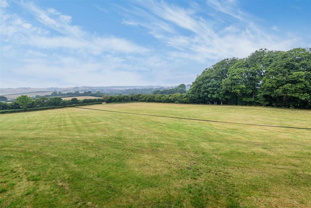 Field.JPG