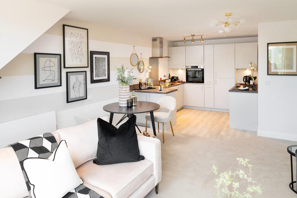 Show home living room