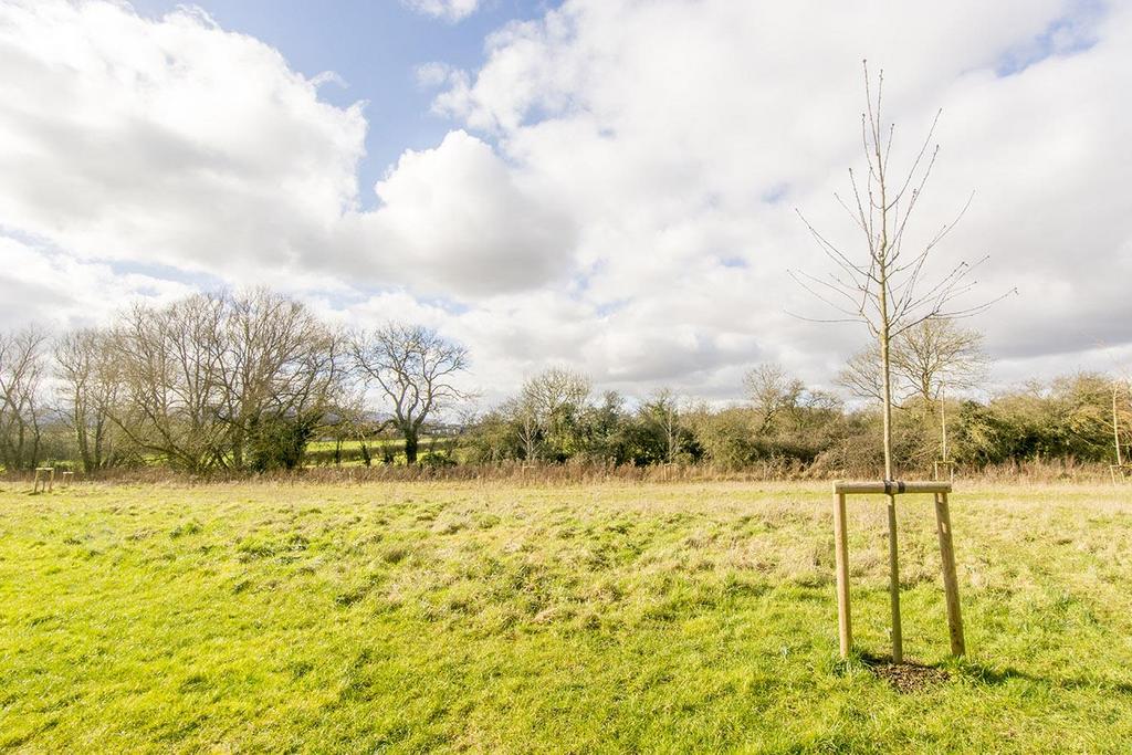 Nearby Country Park