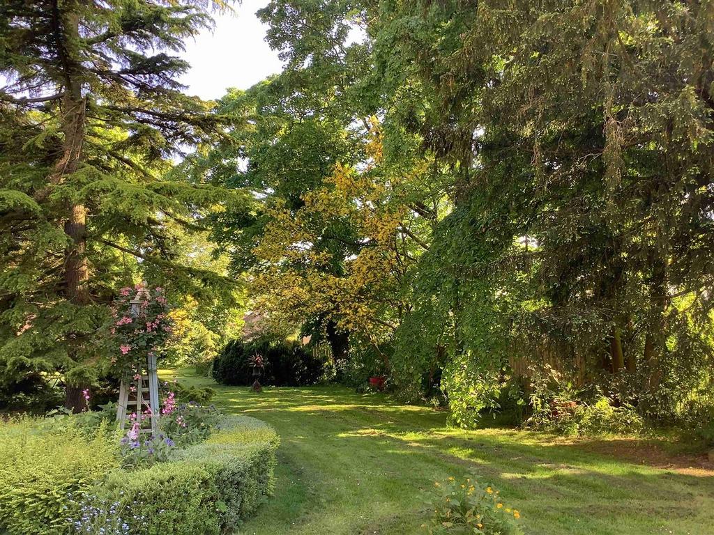Gardens (Summer 2024)