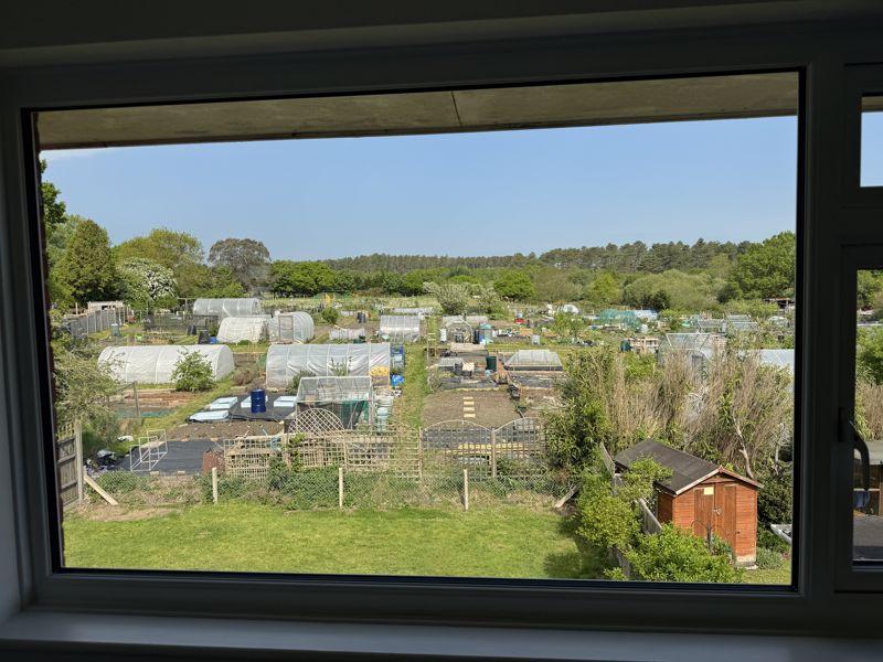 Bedroom View