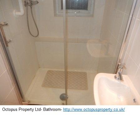 Picture 15
