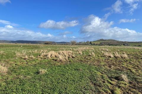 Farm land for sale, Peddle's Barn Drove, Somerton, TA11